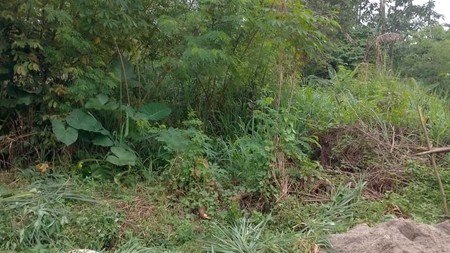 Kavling siap bangun di Bumi Puspitek Asri BSD City