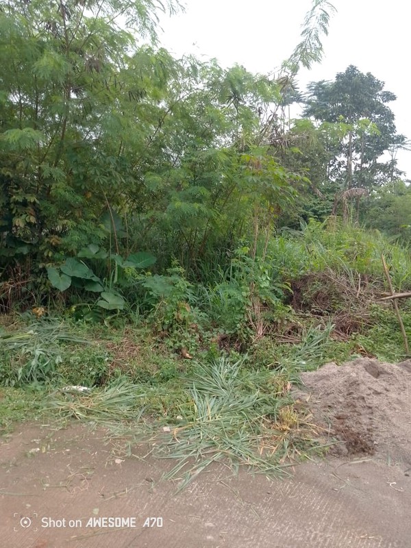 Kavling siap bangun di Bumi Puspitek Asri BSD City