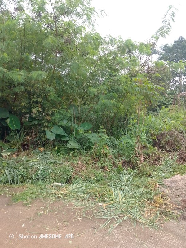 Kavling siap bangun di Bumi Puspitek Asri BSD City