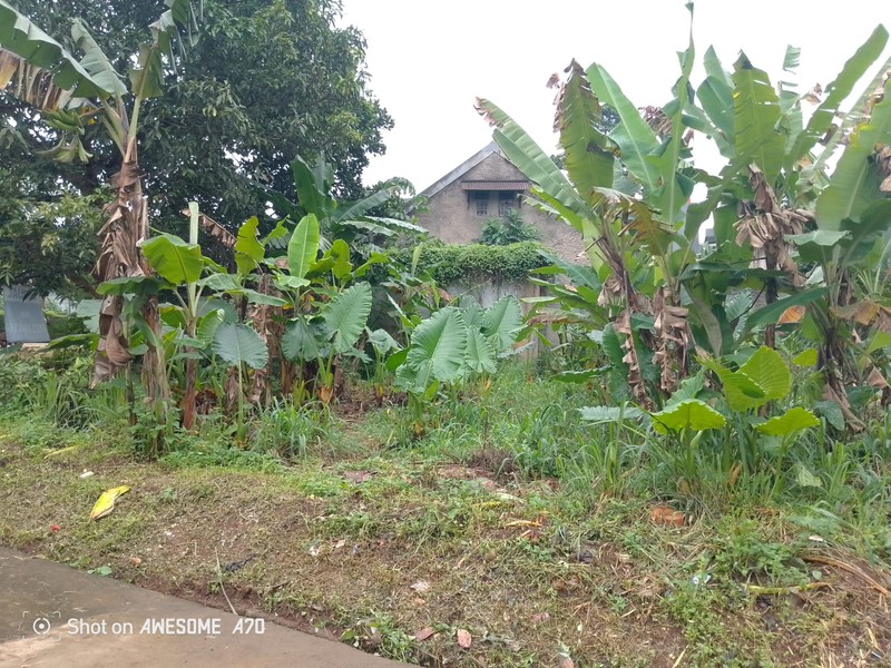 Kavling siap bangun di Bumi Puspitek Asri BSD City
