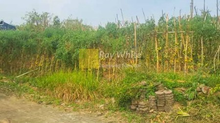 Tanah berlokasi di Villa Lotus Garden, Cipanas, Cianjur, Jawa Barat.