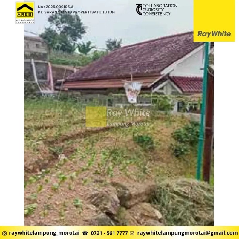 Tanah berlokasi di Villa Lotus Garden, Cipanas, Cianjur, Jawa Barat. 