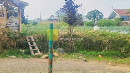 Tanah berlokasi di Villa Lotus Garden, Cipanas, Cianjur, Jawa Barat.