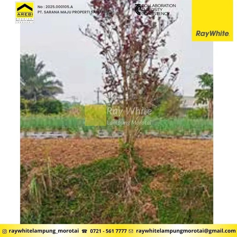 Tanah berlokasi di Villa Lotus Garden, Cipanas, Cianjur, Jawa Barat.