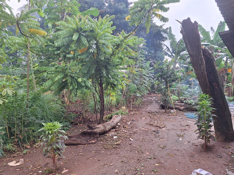 Jual Cepat Tanah Kavling SHM di Jalan Hutama Karya, Kademangan, Serpong Tangerang Banten