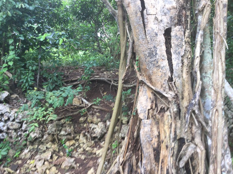 Land Freehold  Close Bulgari Hotel Uluwatu Bali