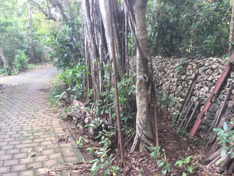 Land Freehold  Close Bulgari Hotel Uluwatu Bali