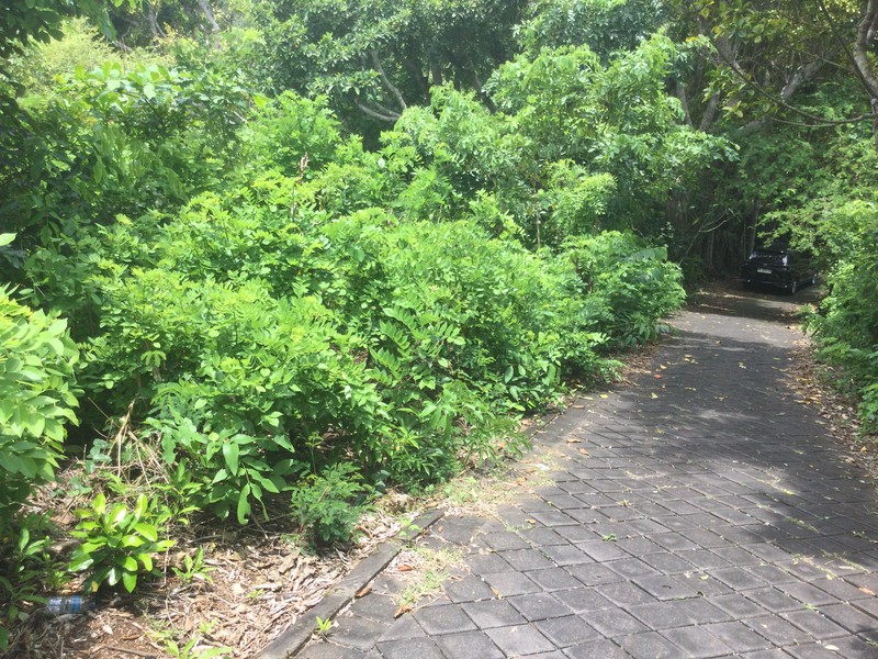 Land Freehold Close Bulgari Hotel Uluwatu Bali