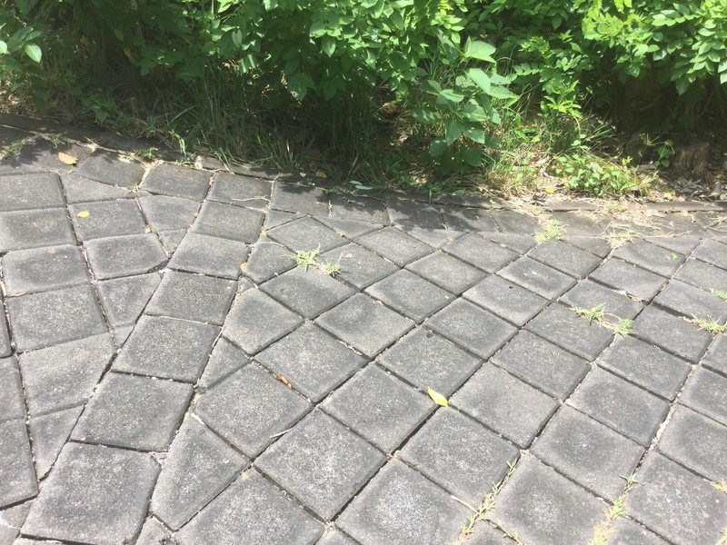 Land Freehold Close Bulgari Hotel Uluwatu Bali