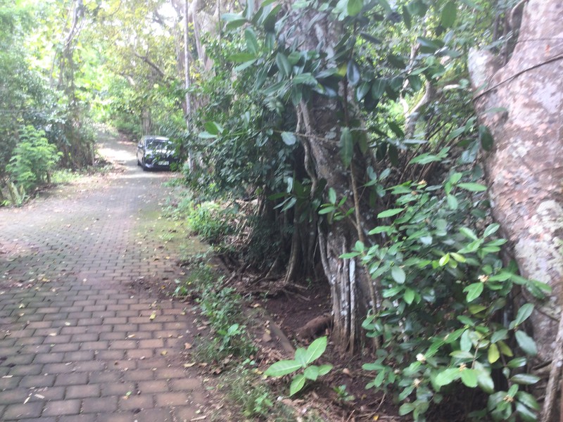 Land Freehold Close Bulgari Hotel Uluwatu Bali