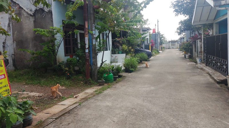 Kavling Strategis di Bumi Puspitek Asri BSD - Siap Bangun & Siap Investasi