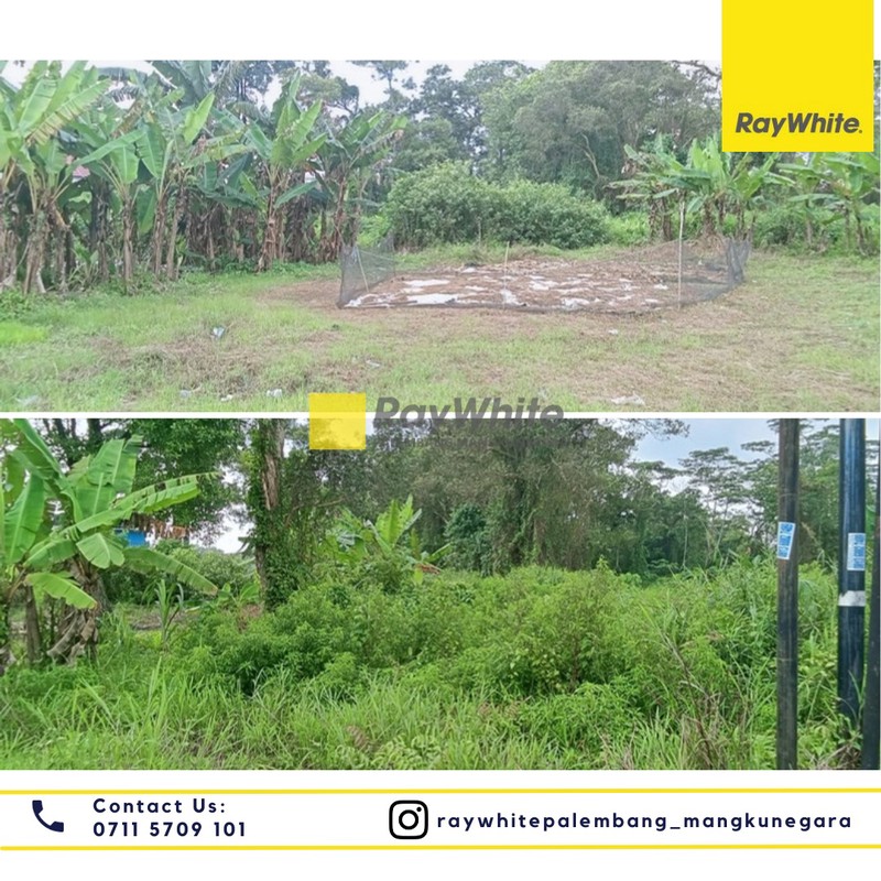 Dijual Tanah Murah Siap Bangun 