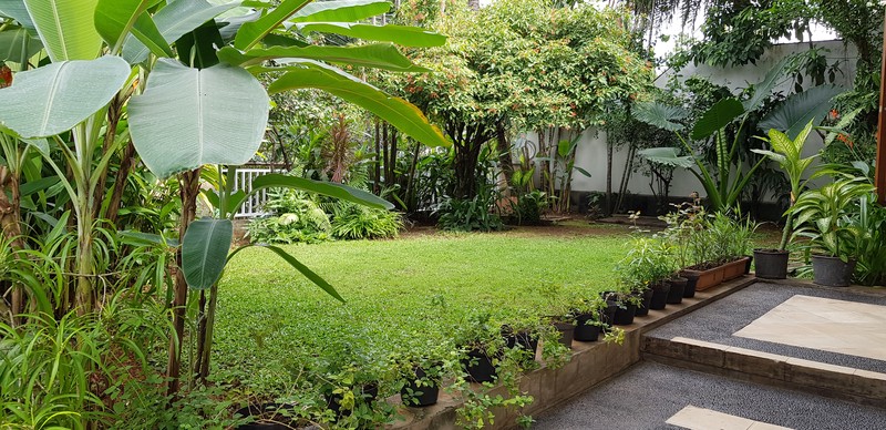 for rent Lovely And Comfort House in Kebayoran Baru