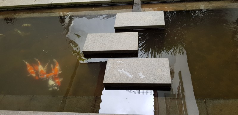 for rent Lovely And Comfort House in Kebayoran Baru