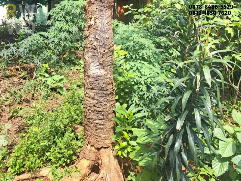 Jual Kavling Murah Nempel Grand Wisata | 108 m² Dekat West Gate & Tol Bekasi Timur