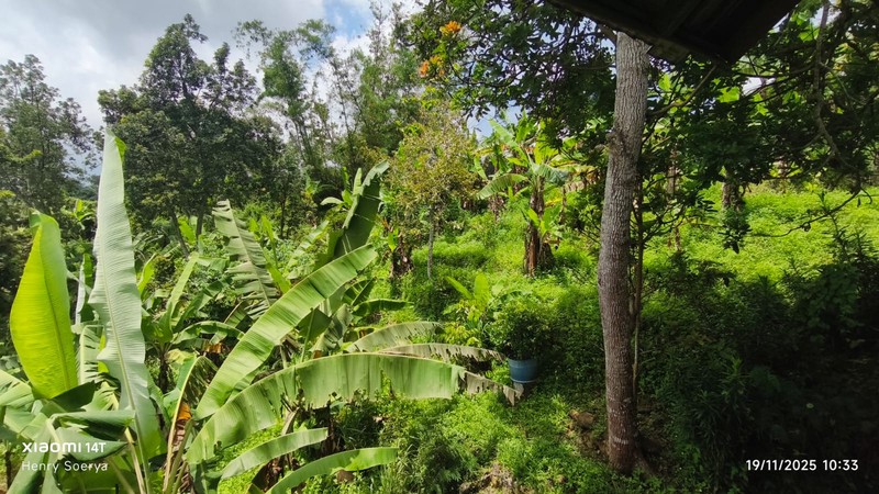 1998 Dijual Villa desa Duyung Trawas Mojokerto