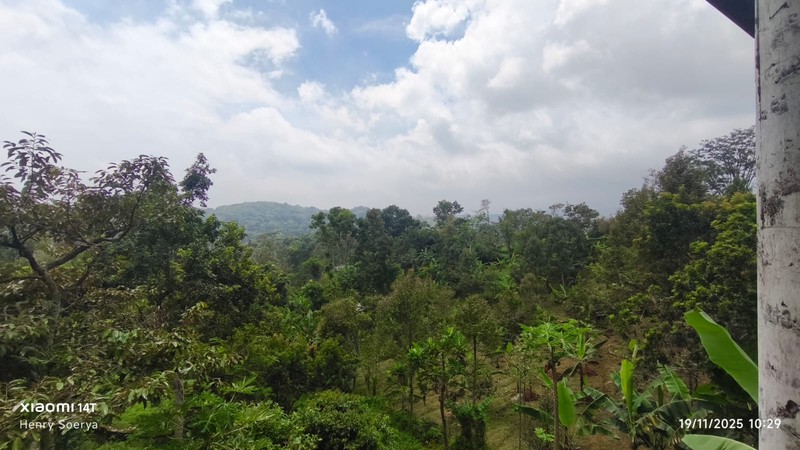 1998 Dijual Villa desa Duyung Trawas Mojokerto