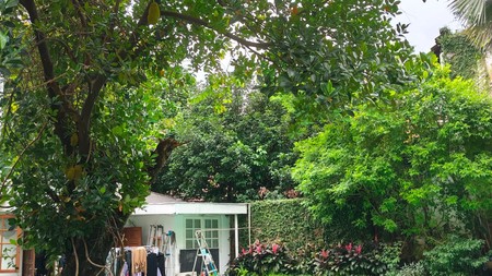 Dijual Rumah Tua Menteng Jakarta Pusat - Bangunan Belanda, Cantik & Sangat Terawat, Kayu Jati