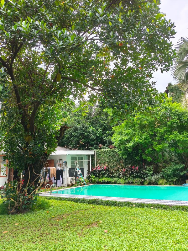 Dijual Rumah Tua Menteng Jakarta Pusat - Bangunan Belanda, Cantik & Sangat Terawat, Kayu Jati