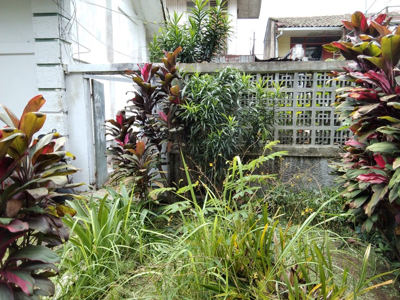 Rumah Besar dengan Halaman Luas di Dago Bandung