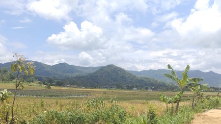 Dijual Tanah Luas 1639 Meter Persegi View Alam di Nanggulan Kulon Progo 