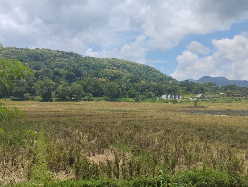 Dijual Tanah Luas 1639 Meter Persegi View Alam di Nanggulan Kulon Progo 