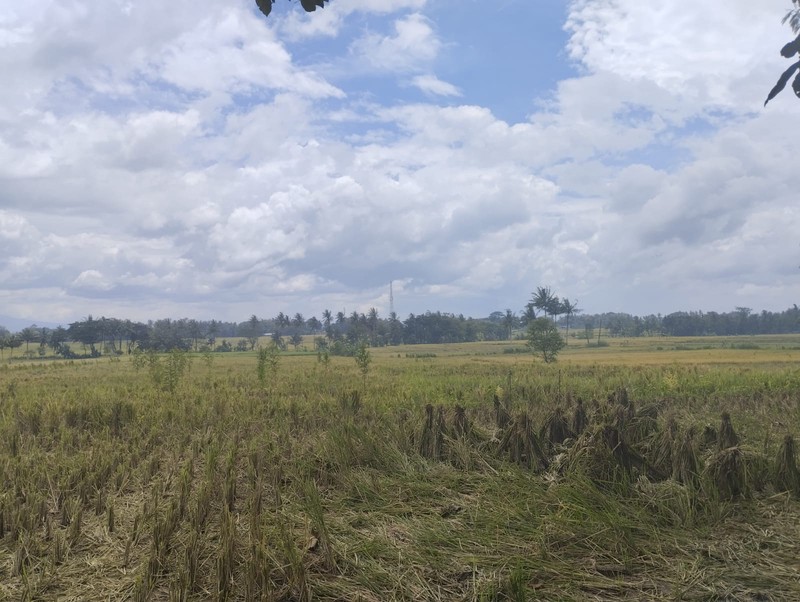 Dijual Tanah Luas 1639 Meter Persegi View Alam di Nanggulan Kulon Progo 