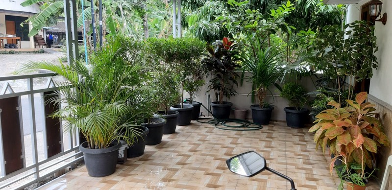 Hunian Nyaman di Balecatur Gamping - Akses Mudah ke Kota Yogyakarta