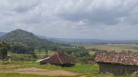 Investasi Tanah Produktif di Perbukitan Girimulyo - Kulon Progo 