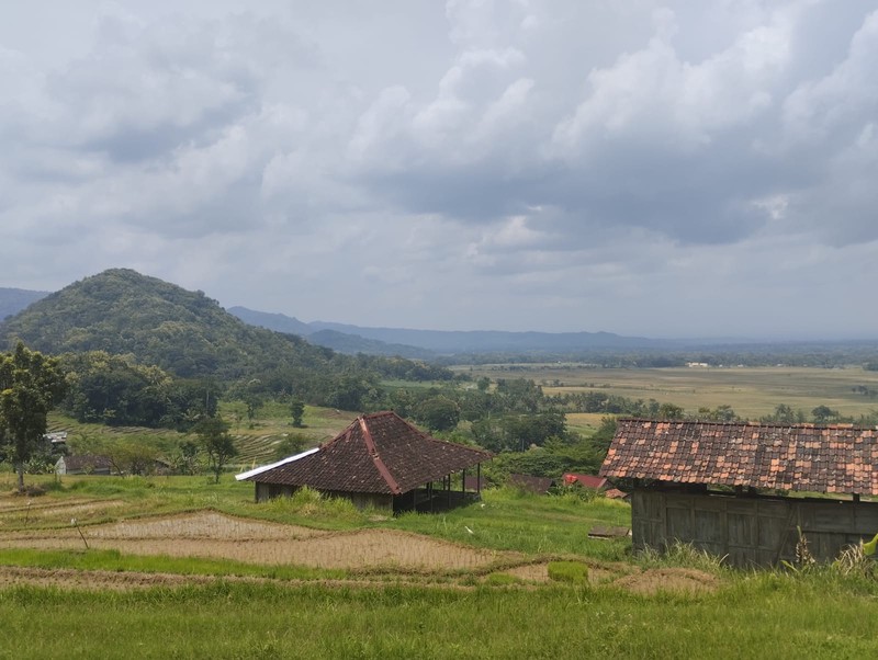 Investasi Tanah Produktif di Perbukitan Girimulyo - Kulon Progo 