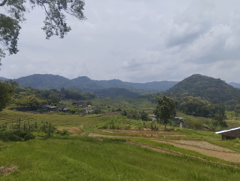 Investasi Tanah Produktif di Perbukitan Girimulyo - Kulon Progo 