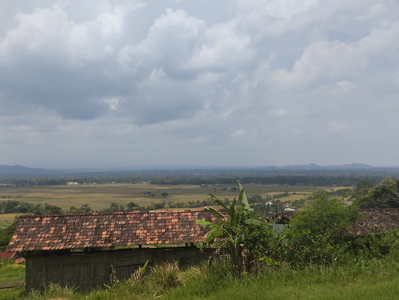 Investasi Tanah Produktif di Perbukitan Girimulyo - Kulon Progo 