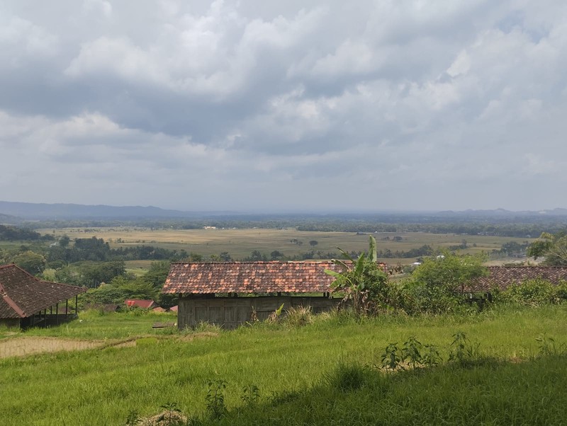 Investasi Tanah Produktif di Perbukitan Girimulyo - Kulon Progo 