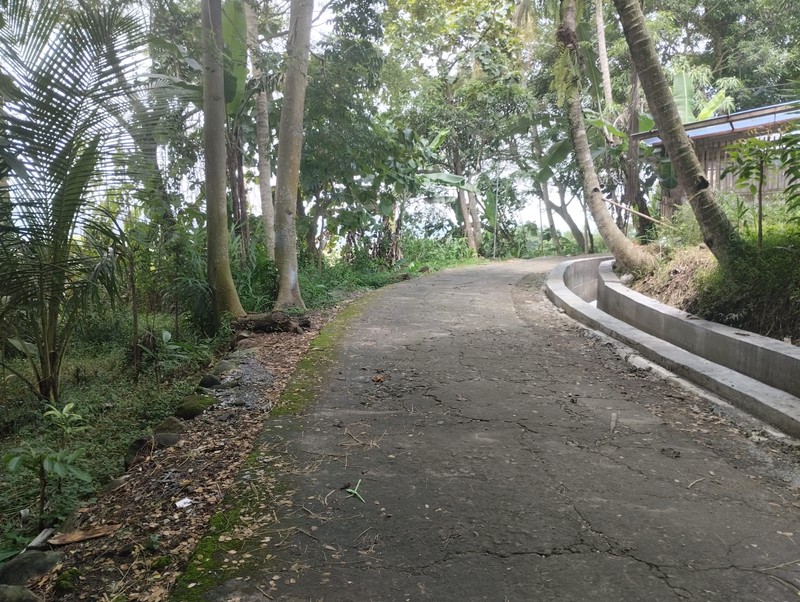 Investasi Tanah Produktif di Perbukitan Girimulyo - Kulon Progo 