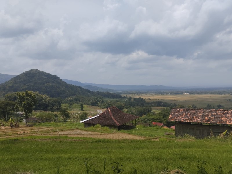 Investasi Tanah Produktif di Perbukitan Girimulyo - Kulon Progo 