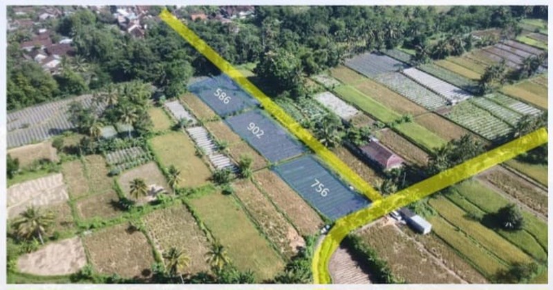 Dijual Sawah Luas 2.244 Meter Persegi  - Lokasi Strategis Pandowoharjo Sleman 