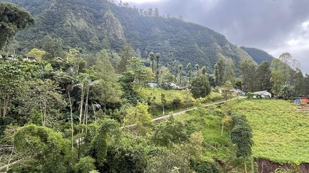 Dijual 2000 m2 Tanah Sapikerep - Sukapura - Probolinggo Jatim Dekat Wisata Gunung Bromo - Surat SHM - Cocok Buat Cafe,Resto,Segala Usaha