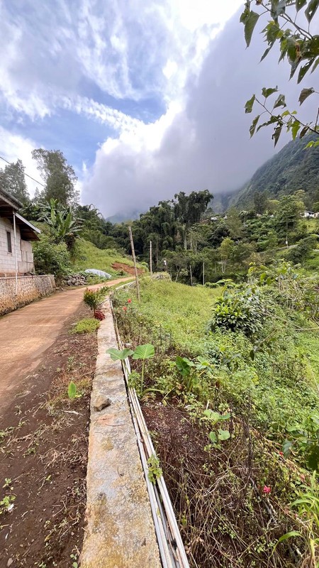 Dijual 2000 m2 Tanah Sapikerep - Sukapura - Probolinggo Jatim Dekat Wisata Gunung Bromo - Surat SHM - Cocok Buat Cafe,Resto,Segala Usaha