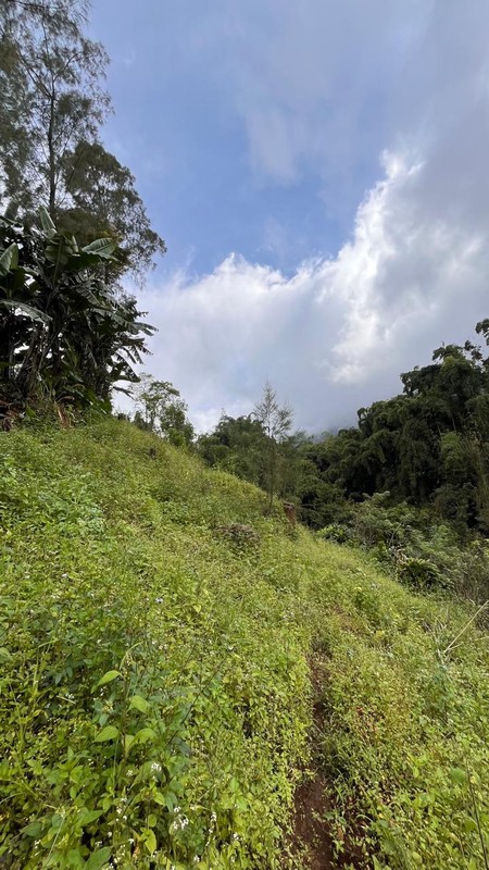 Dijual 2000 m2 Tanah Sapikerep - Sukapura - Probolinggo Jatim Dekat Wisata Gunung Bromo - Surat SHM - Cocok Buat Cafe,Resto,Segala Usaha