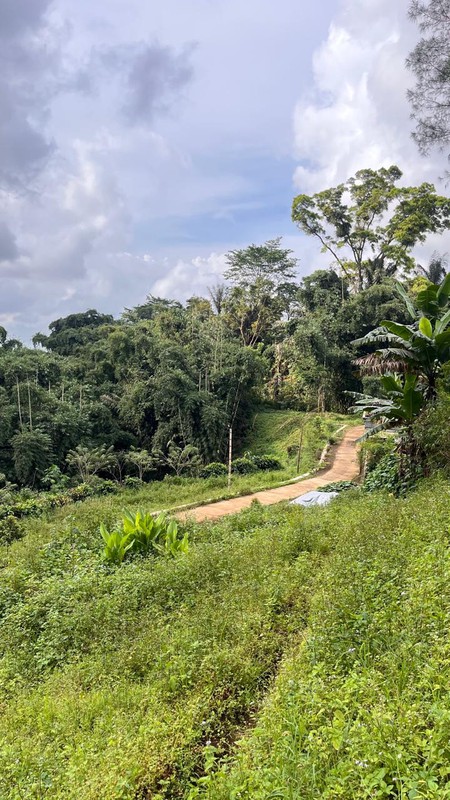 Dijual 2000 m2 Tanah Sapikerep - Sukapura - Probolinggo Jatim Dekat Wisata Gunung Bromo - Surat SHM - Cocok Buat Cafe,Resto,Segala Usaha