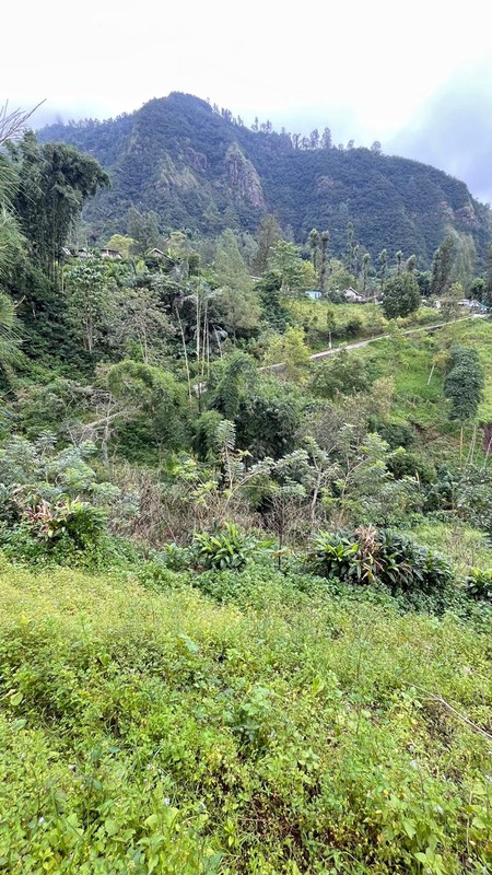 Dijual 2000 m2 Tanah Sapikerep - Sukapura - Probolinggo Jatim Dekat Wisata Gunung Bromo - Surat SHM - Cocok Buat Cafe,Resto,Segala Usaha