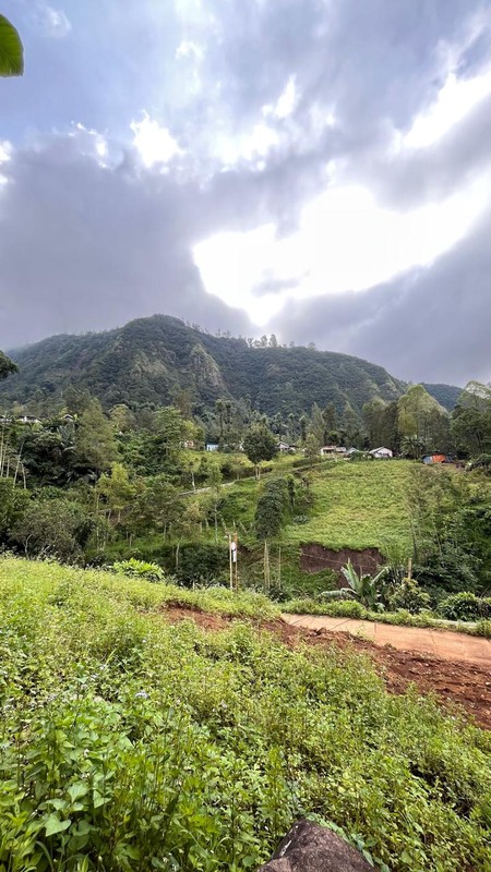 Dijual 2000 m2 Tanah Sapikerep - Sukapura - Probolinggo Jatim Dekat Wisata Gunung Bromo - Surat SHM - Cocok Buat Cafe,Resto,Segala Usaha