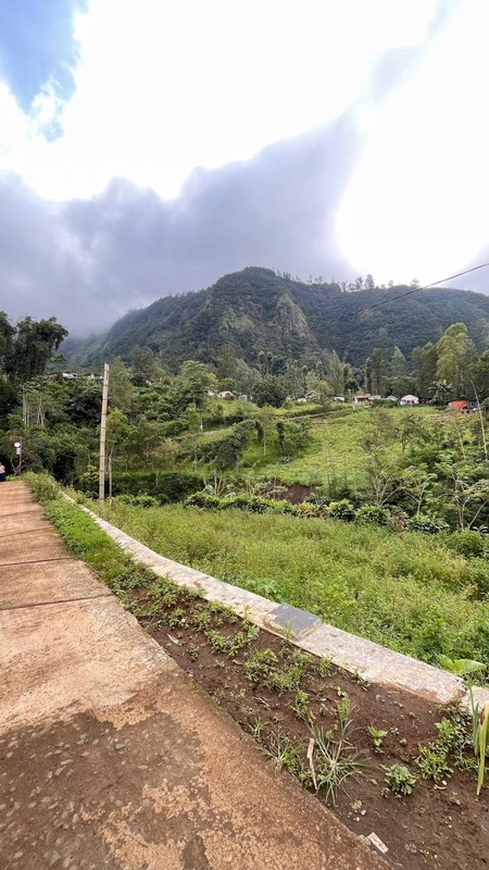 Dijual 2000 m2 Tanah Sapikerep - Sukapura - Probolinggo Jatim Dekat Wisata Gunung Bromo - Surat SHM - Cocok Buat Cafe,Resto,Segala Usaha