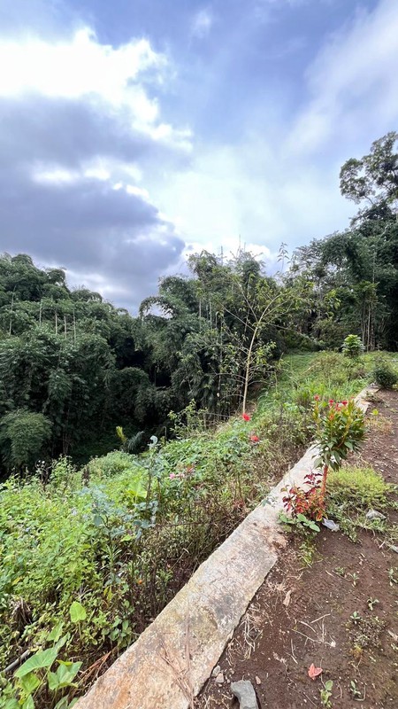 Dijual 2000 m2 Tanah Sapikerep - Sukapura - Probolinggo Jatim Dekat Wisata Gunung Bromo - Surat SHM - Cocok Buat Cafe,Resto,Segala Usaha