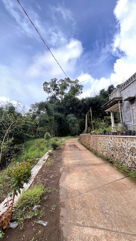 Dijual 2000 m2 Tanah Sapikerep - Sukapura - Probolinggo Jatim Dekat Wisata Gunung Bromo - Surat SHM - Cocok Buat Cafe,Resto,Segala Usaha