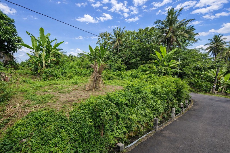 Tanah Pekarangan Strategis Dekat Akses Tol, di Sumberayu Moyudan Sleman