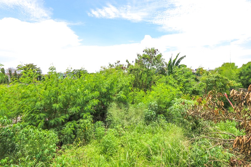 Tanah 1500m2 di Serua Indah Ciputat TangSel, akses mudah Bintaro