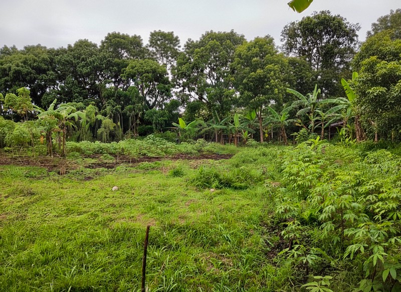 Tanah di Cidadap Bandung dekat Sersan Bajuri Sukasari, Budi Indah