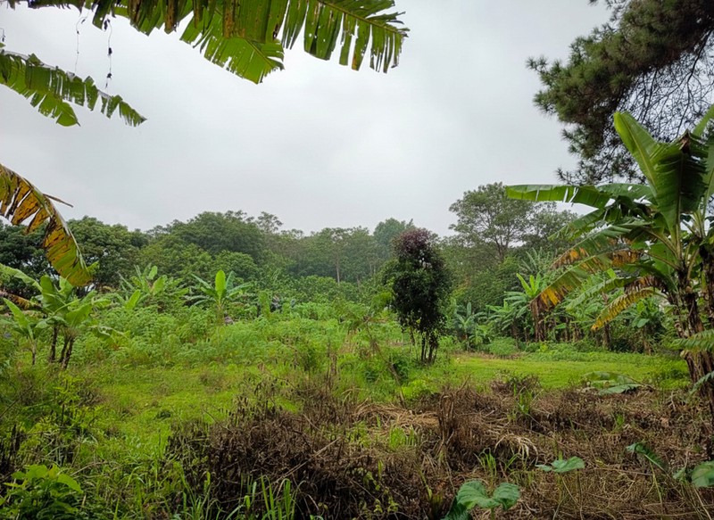 Tanah di Cidadap Bandung dekat Sersan Bajuri Sukasari, Budi Indah