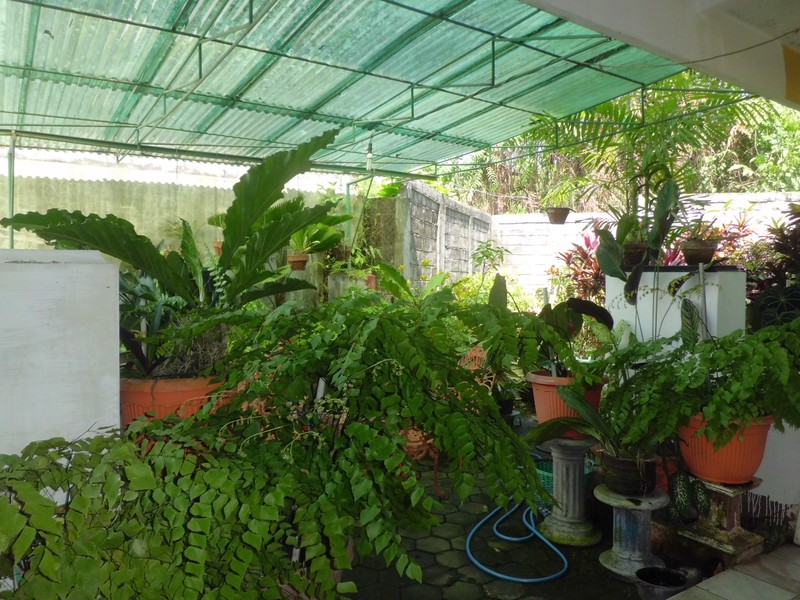 RUMAH DIJUAL DI PERUMAHAN JOMBOR BARU, MLATI, SLEMAN